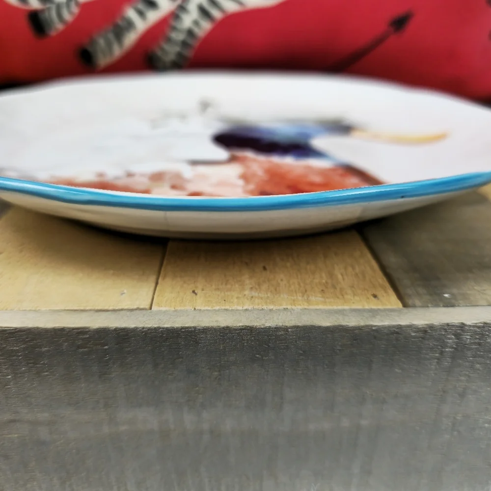 Pier 1 Duck Plate